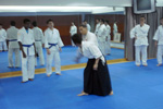 Ki Aikido Woodland CC